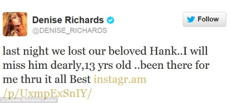 denise richards twitter mourns death of dog hank