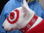 bullseye the target dog