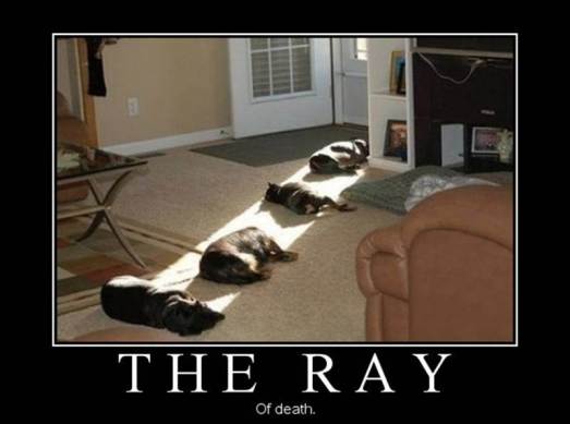 the ray of death dogscape poster