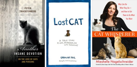 year of the cat books nytimes lost cat book