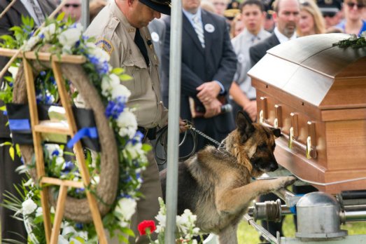 jason ellis funeral fido german shepherd k9