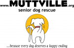 MUTTVILLE-Logo-600x391