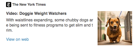 doggie weight watchers nytimes