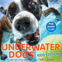 underwater dogs kids edition