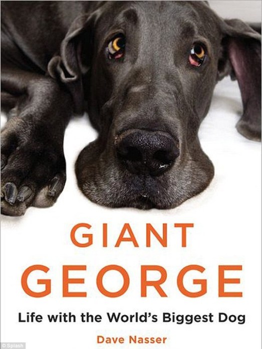 giant george life with worlds biggest dog dave nasser luynne barrett-lee