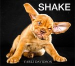 shake dog book by carli davidson