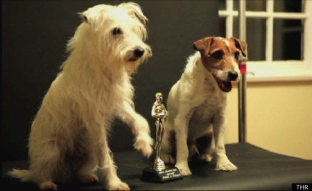 OSCAR-DOGS
