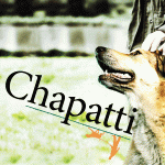chapatti play mahoney christian o'reilly