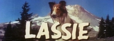 lassie dog comeback