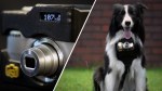 20150529212620-nikon-heartbeats-dog-pet-wearable