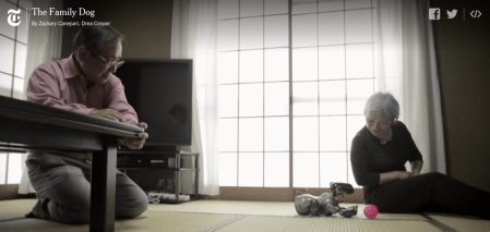 robotic dog's mortality  aibo sony zackary canepari drea cooper nytimes