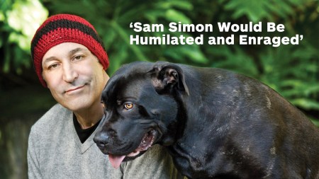 splashd-samsimon-withtext