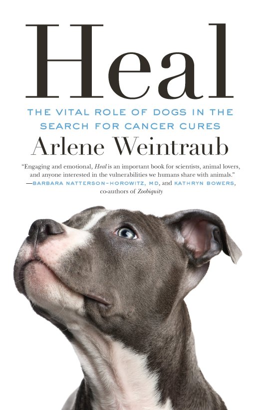 heal vital role of dogs in search for cancer cures dog book arlene weintraub