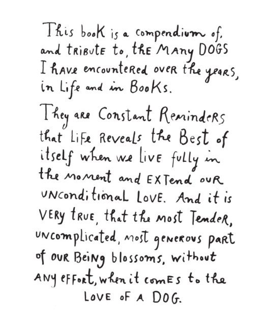 mairakalman_beloveddog3