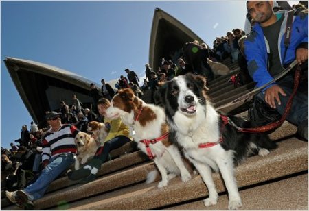 anderson480-blogSpan