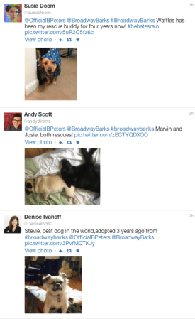 #broadwaybarks broadway barks